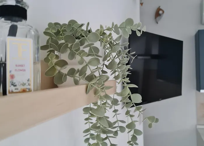 Gate 25 سان جيوفانّي تْيَتينو